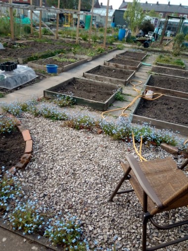 Allotment